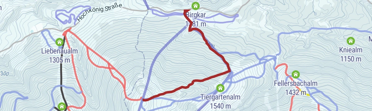 Route map: Skitourenweg vom Dientner Sattel zur Kings Cab